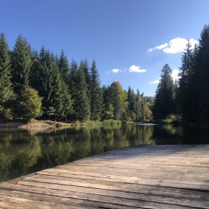 Reprogramarea subconștientului: Chakrele